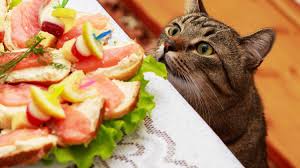 A slice of green onion or a small clove of garlic may produce nothing more than minor digestive upset, but if eaten in sufficient quantities, foods in the onion family can. 55 Human Foods Cats Can And Can T Eat