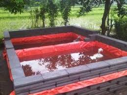 Kolam Lele Terpal Batako Kolam Kolam Ikan