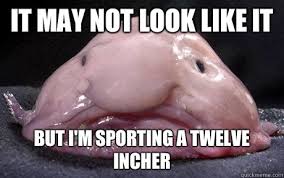I Might Be Ugly But I Am Tasty Douchebag Blobfish Quickmeme