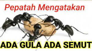 Dalam hal tata bahasa, negara barat memiliki proverb, jepang memiliki kotowaza, cina memiliki yanyu, sedangkan indonesia memiliki peribahasa. Pepatah Mengatakan Ada Gula Ada Semut Youtube