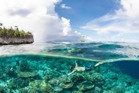 Selain keindahan alam dan surga bawah lautnya, raja ampat juga bikin penasaran dengan namanya. Menyelami Pesona Raja Ampat Surga Di Bumi Indonesia Semua Halaman National Geographic