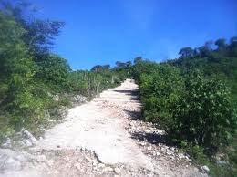 Panoramio Photos By Idjory Ile De La Tortue Country Roads Island Road