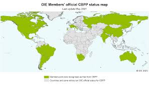 But in a sign of the times, norway for example no longer ranks any zones as green in europe or beyond. Tsujruuy4qhc0m