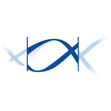 Am 20.08.2020 wurden die empfehlungen der stiko für 2020/2021 im epidemiologischen bulletin publiziert. Stiko Impf Infos