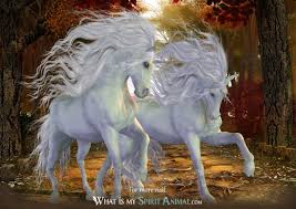 Tattoos of this mythical creature are thus an emblem of purity, chastity, free will, magical powers, and uniqueness. Unicorn Symbolism Meaning Unicorn Spirit Totem Power Animal