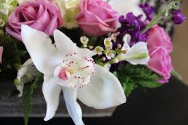 Two rhinos coming to the living desert. Chloe S Flowers 12240 Palm Dr Desert Hot Springs Ca Florists Mapquest