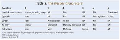 Image result for Croup Score