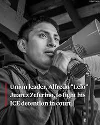 Longtime immigrant farmworker and organizer Alfredo “Lelo” Juarez Zeferino  was pulled over last week by a plainclothes agent with Immigration and  Customs Enforcement (ICE). Lelo is currently jailed at the privately run