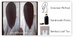 Tea rinses, peppermint oil*, the green house effect that it became overwhelming to try to remember them all. 2 Inches Of Hair Growth In 5 Days Inversion Method Hairdrenalin Potion And Bamboo Leaf Tea Black Hair Information