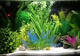 One really cool feature of the log is that it has a hole in the top, just in case your betta is hiding or sleeping you can just drop a pellet right into his bed for a. Top Fin Betta Log Aquarium Ornament Fish Ornaments Petsmart