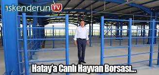 Hatayʹa Canli Hayvan Borsasi