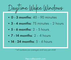How to know when your child is ready to stop napping. Wake Windows Vs Set Schedules Welcome To The Cradle Coach