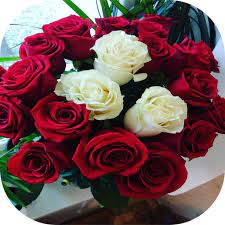 ريحان وفلاداء يحيى بصلالكلمات:ريحان وفل وزقفة للكل *** بهالعرس الكل معطر والنور يهل مية أهلا وسهلا بهالعين. Ø¨Ø·Ø§Ù‚Ø§Øª ÙˆØ±Ø¯ Ù…Ù…ÙŠØ²Ø© Ø§Ù„ØªØ·Ø¨ÙŠÙ‚Ø§Øª Ø¹Ù„Ù‰ Google Play