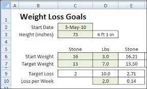 excel weight loss tracker in stone contextures blog