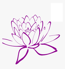 Choose your favorite magnolia flower drawings from 119 available designs. Magnolia Clipart Magnolia Flower Lotus Flower Drawing Png Transparent Png Transparent Png Image Pngitem