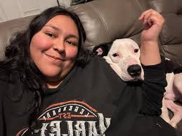 Are pitbulls prone to jealousy when hearing certain phrases?