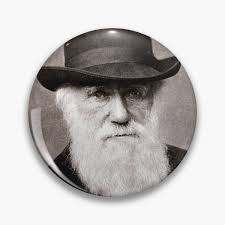 Charles Darwin Fish Pins and Buttons for Sale
