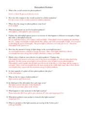 Photosynthesis Worksheet Answers Photosynthesis Worksheet 1 What Is The Overall Reaction For Photosynthesis 6 Co2 6 H2o Glucose C6h12o6 6 O2 2 How Course Hero