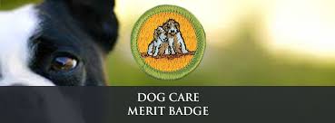 Dog care merit badge workbook pdf free download. Dog Care Merit Badge Clinic