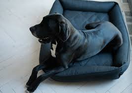 Xxl Dog Bes Sofa Graphite Mat For Big Dog Extra Strong Durable Etsy In 2020 Dog Bed Large Dogs Grey Dog Bed