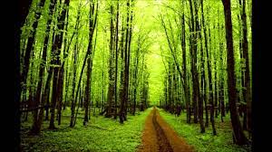 Ian hooper фото исполнителя ian hooper. Ian Hooper Run To The Trees Youtube