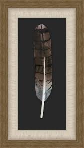 Office Cooper Hawk Feather Ornithology Nature Our Product Hawk Feathers Cooper S Hawk Art