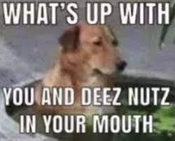 Pin By Stacytavena On Funny Wallpaper In 2021 Deez Nuts Jokes Deez Nuts Snapchat Funny