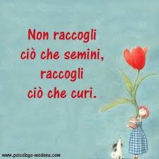 Amare Psicologa Modena Dott Ssa Monica Orma Citazioni Immagini Citazioni Sagge