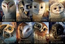 Legend of the guardians book. 8 New Character Posters For Legend Of The Guardians The Owls Of Ga Hoole Heyuguys