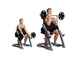 15 best bicep workouts and exercises of