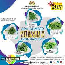 Kemudahan menanam tanaman sayuran membuat cara organik paling populer di kalangan ibu rumah tangga. Sayur Online Home Facebook