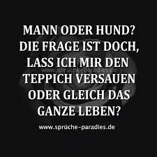 Am freitag war ein freund zu besuch, der mit seinem labrdor vorbeikam. Mann Oder Hund Die Frage Ist Doch Lass Ich Mir Den Teppich Versauen Oder Gleich Das Ganze Leben Gesundheit Sarkastische Spruche Witzige Spruche Lustige Spruche