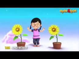 Bunga matahari by upin dan ipin. Bunga Matahari Karaoke Sing Along Upin Ipin Youtube