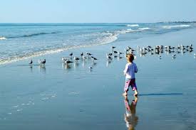 Kiawah Island Is A Perfect Family Beach Vacation