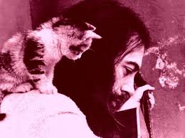 Erkin Koray And His Cat Distances Rock Muzik Babalar