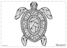 Een moeilijke kleurplaat is extra leuk om te maken. Kleurplaat Dieren