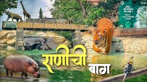 Explore Lion & Tiger Safari at Sanjay ...