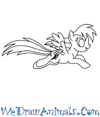 We did not find results for: How To Draw Rainbow Dash From My Little Pony