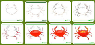 See full list on wikihow.com How To Draw A Crab For Kids Step By Step Easy With Colour