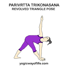 Parivrtta Trikonasana Revolved Triangle Pose Yoga Poses Advanced Triangle Pose Learn Yoga