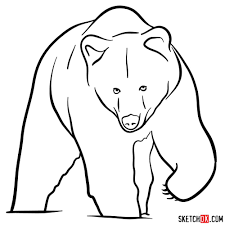 Pin On How To Draw Wild Animals