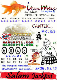 Pin Di Syair Ikan Mas Togel