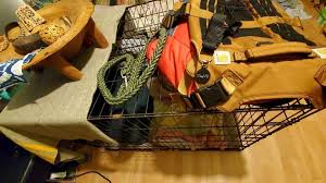 Adam MacIsaac (@adammacisaac)