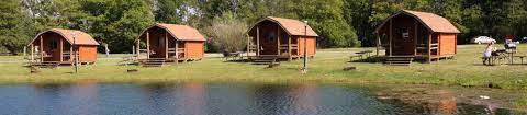 Maybe you would like to learn more about one of these? Cabin Camping At Koa Cabin Rentals Deluxe Camping Cabins