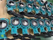 Lock-Type Seat Extended Neck Hand Lever Concentric Butterfly Valve for High  Abrasion