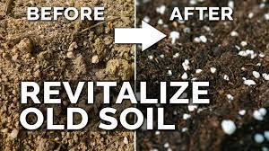 Figure out what half of that is and add that much compost to the pile. 2 Easy Methods To Revitalize Old Potting Soil Youtube