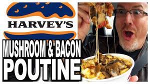 Harvey Bacon's Instagram, Twitter & Facebook