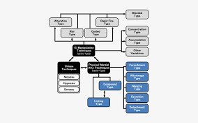 Chart Canon Super Saiyan Transformations Chart 411x433