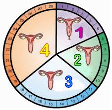 Masa tidak subur setelah haid, berapa hari dan tanda tanda yang terjadi pada tubuh atau perubahan organ tubuh dan penting untuk kb alai atau program hamil. Ini 5 Sebab Betapa Pentingnya Wanita Kena Catat Hari Pertama Haid Jadikan Rutin Setiap Bulan Mingguan Wanita