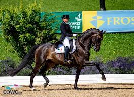 Entdecke die besten heimatfilme der 1950er: Tragodie Bei Siegerehrung Dorothee Schneider S Rock N Rose Nach Sturz Verstorben Equestrian Worldwide Pferdesport Weltweit Eqwo Net